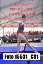15531_CS1-