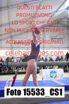15533_CS1-