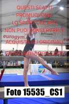 15535_CS1-