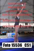 15536_CS1-