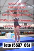 15537_CS1-