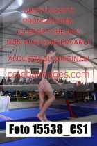 15538_CS1-
