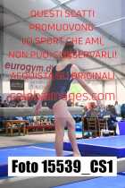15539_CS1-