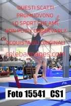 15541_CS1-