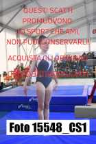 15548_CS1-