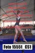 15551_CS1-