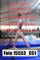 15553_CS1-