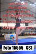 15555_CS1-