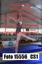 15556_CS1-