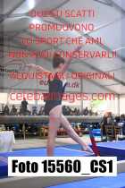15560_CS1-