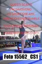 15562_CS1-