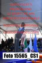 15565_CS1-