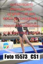 15573_CS1-