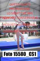 15580_CS1-