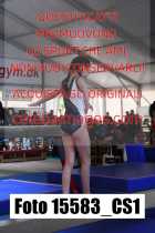 15583_CS1-