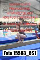 15593_CS1-