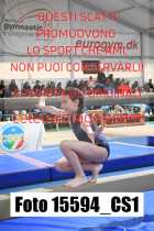 15594_CS1-