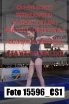 15596_CS1-