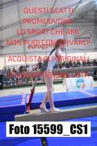15599_CS1-