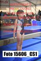 15606_CS1-