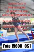 15608_CS1-