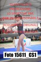15611_CS1-