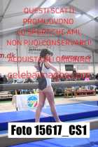 15617_CS1-