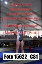 15622_CS1-