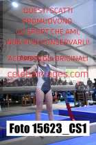 15623_CS1-