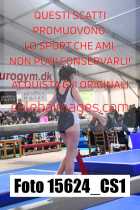 15624_CS1-