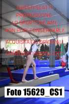 15629_CS1-