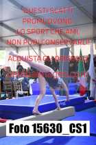 15630_CS1-
