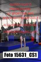 15631_CS1-