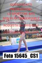 15645_CS1-