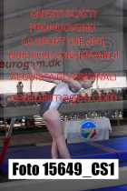 15649_CS1-