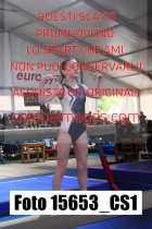 15653_CS1-