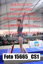 15665_CS1-