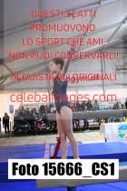 15666_CS1-