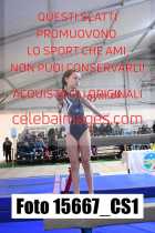 15667_CS1-