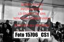 15706_CS1-