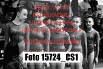 15724_CS1-