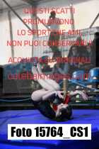 15764_CS1-