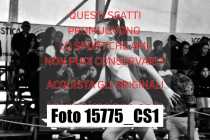15775_CS1-