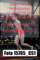 15785_CS1-