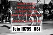 15799_CS1-