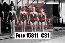 15811_CS1-