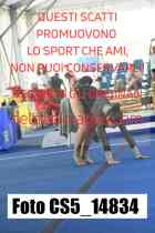 CS5_14834-