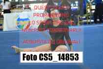 CS5_14853-