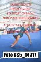 CS5_14917-