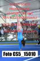 CS5_15010-